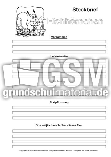 Eichhörnchen-Steckbriefvorlage-sw-3.pdf